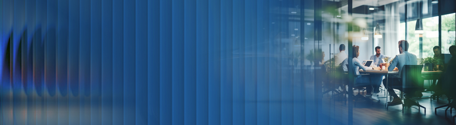 Professional Services